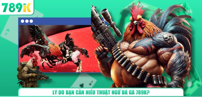 Lý do bạn cần hiểu thuật ngữ đá gà 789K?