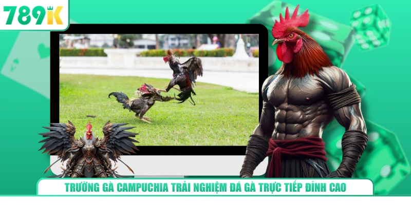 Trường Gà Campuchia